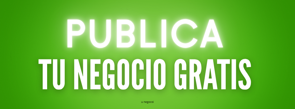 Pu-Directorio